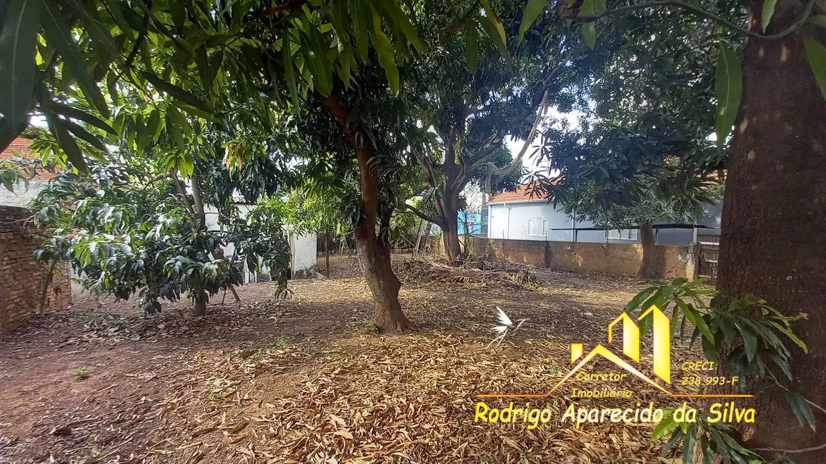 Casa à venda, 560m2 em Vila Roberto, Birigui - SP - imagem 6 Foto 6 de Casa à venda, 560m2 em Vila Roberto, Birigui - SP