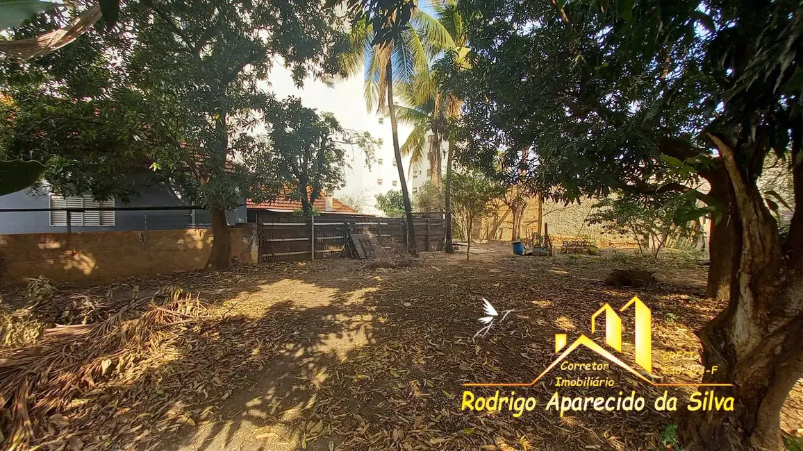 Casa à venda, 560m2 em Vila Roberto, Birigui - SP - imagem 8 Foto 8 de Casa à venda, 560m2 em Vila Roberto, Birigui - SP