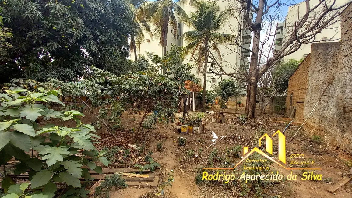 Casa à venda, 560m2 em Vila Roberto, Birigui - SP - imagem 5 Foto 5 de Casa à venda, 560m2 em Vila Roberto, Birigui - SP