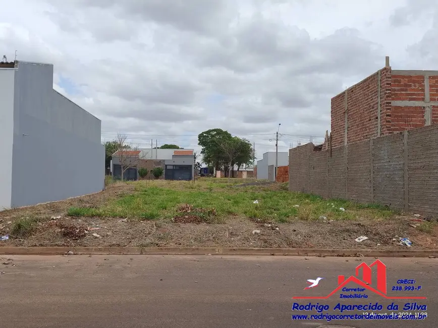 Terreno / Lote à venda, 250m2 em Birigui - SP - imagem 2 Foto 2 de Terreno / Lote à venda, 250m2 em Birigui - SP