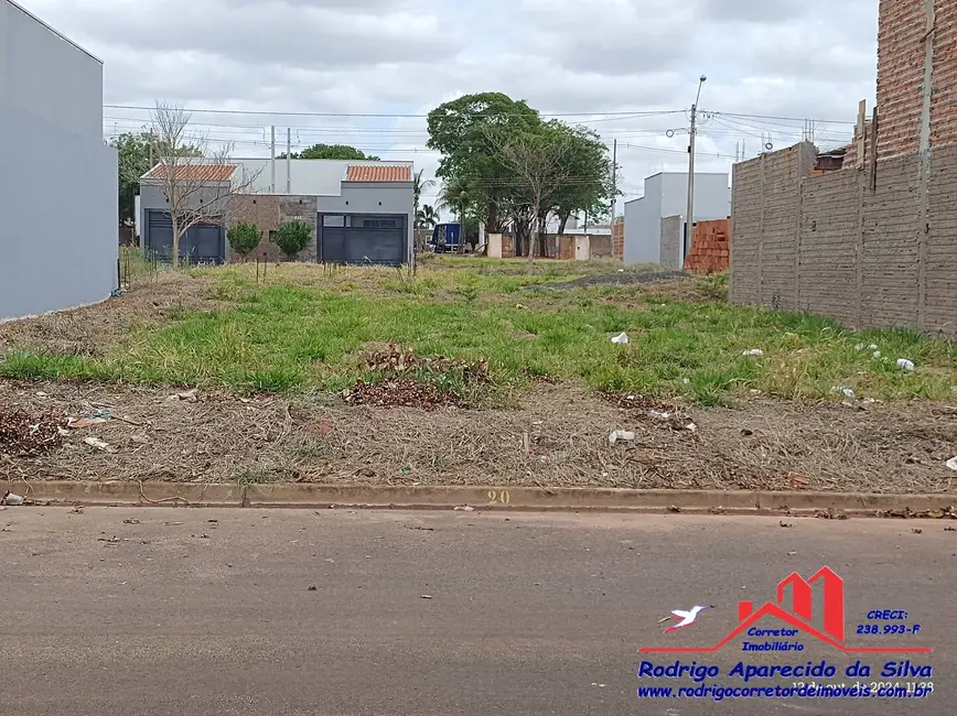 Foto 1 de Terreno / Lote à venda, 250m2 em Birigui - SP
