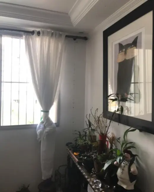 Foto 6 de Apartamento com 2 quartos à venda, 70m2 em Vila Mascote, São Paulo - SP