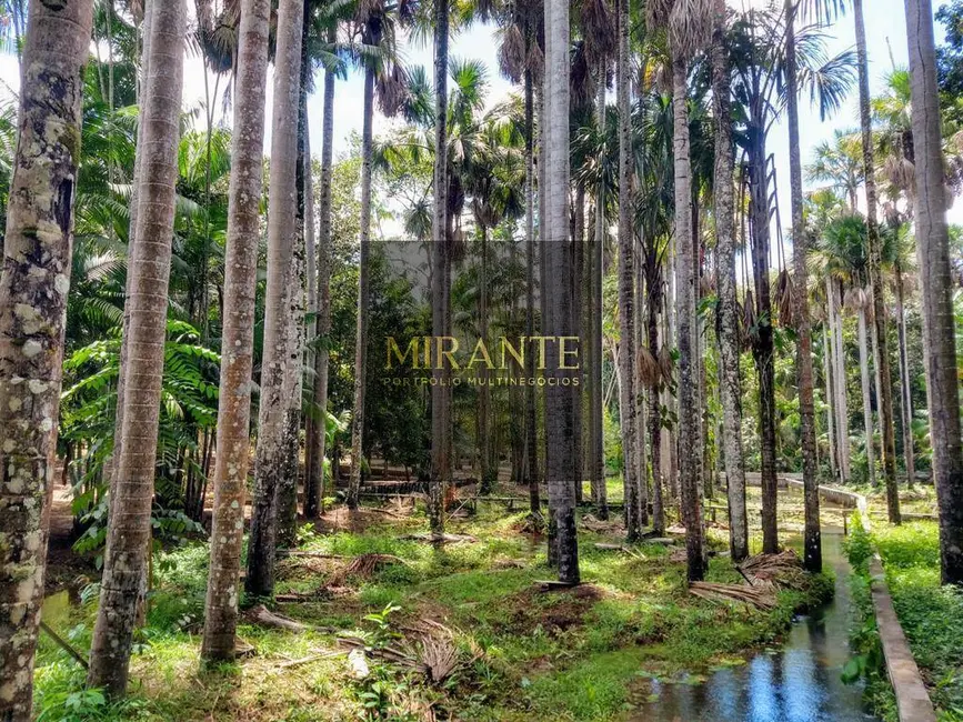 Sítio / Rancho com 3 quartos à venda, 29680m2 em Mararú, Santarem - PA - imagem 9 Foto 9 de Sítio / Rancho com 3 quartos à venda, 29680m2 em Mararú, Santarem - PA