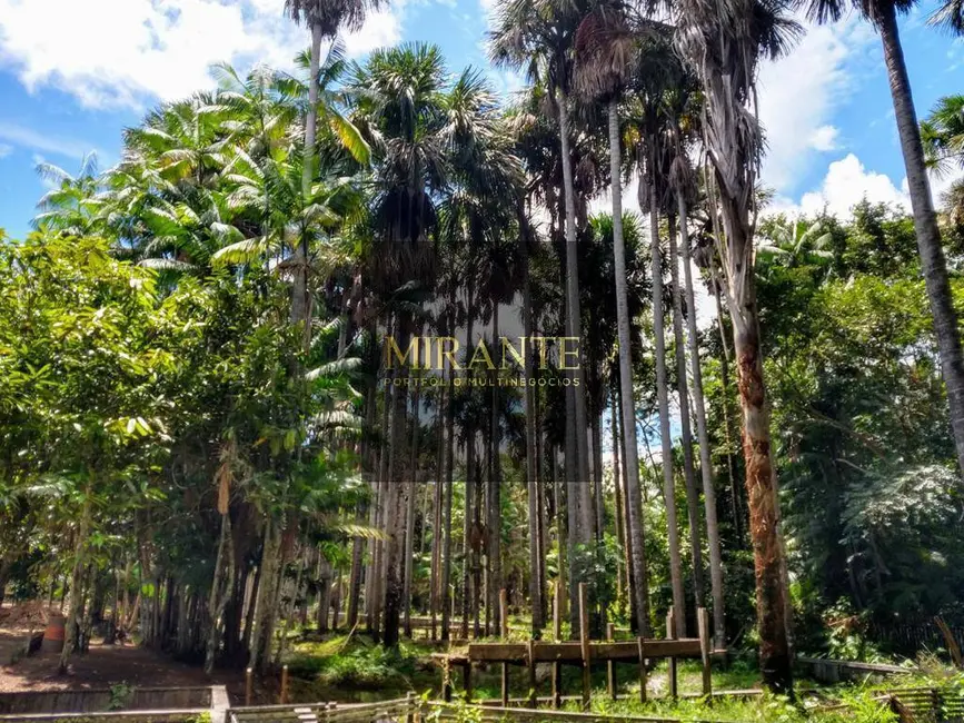 Sítio / Rancho com 3 quartos à venda, 29680m2 em Mararú, Santarem - PA - imagem 4 Foto 4 de Sítio / Rancho com 3 quartos à venda, 29680m2 em Mararú, Santarem - PA