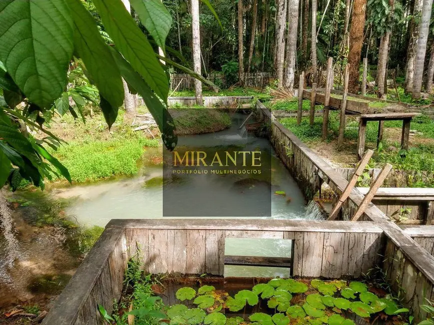 Sítio / Rancho com 3 quartos à venda, 29680m2 em Mararú, Santarem - PA - imagem 8 Foto 8 de Sítio / Rancho com 3 quartos à venda, 29680m2 em Mararú, Santarem - PA