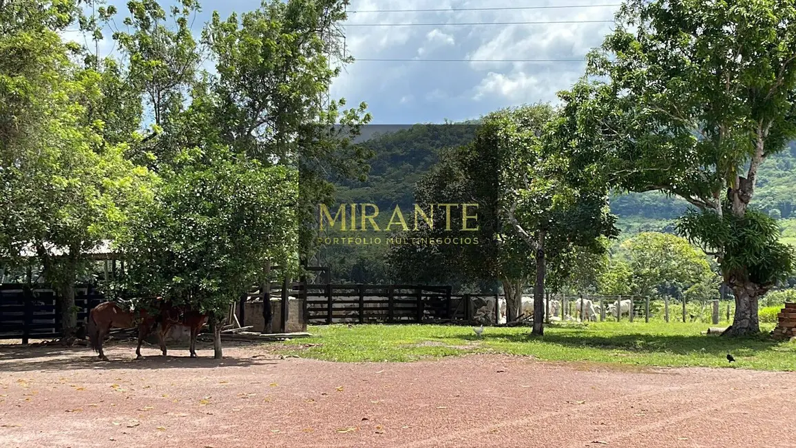 Foto 2 de Fazenda / Haras à venda, 741m2 em Centro, Alenquer - PA