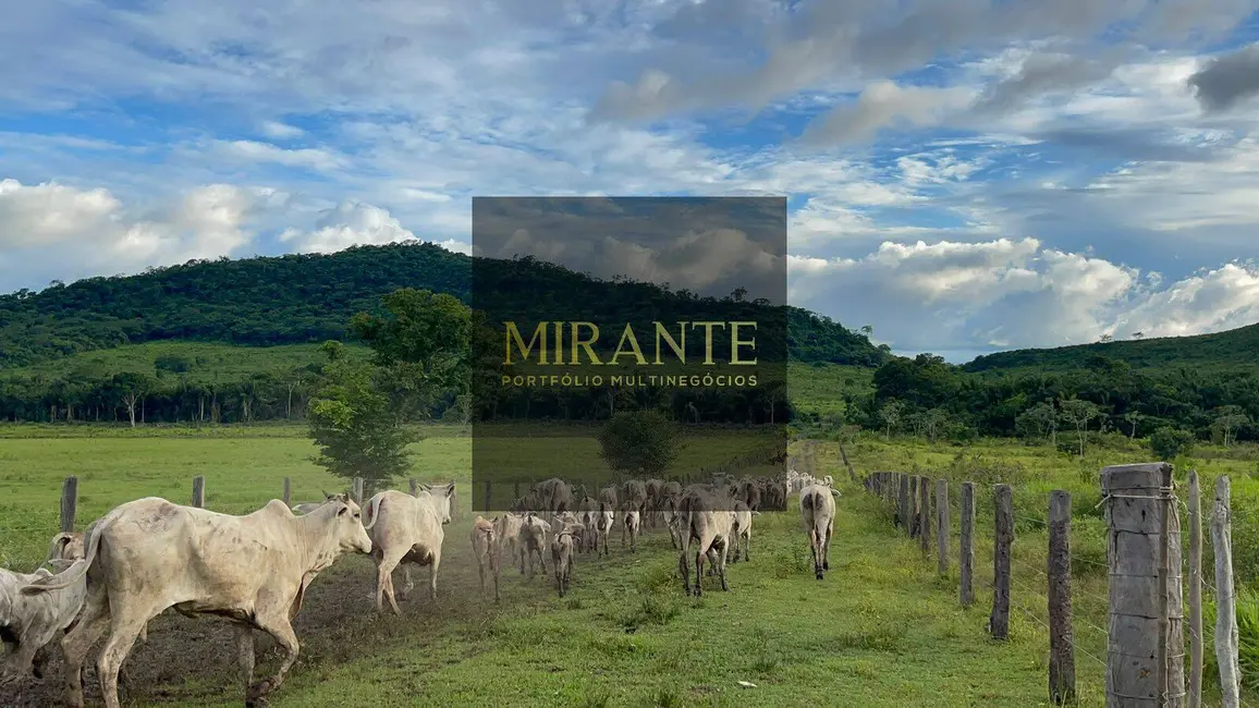 Foto 3 de Fazenda / Haras à venda, 741m2 em Centro, Alenquer - PA