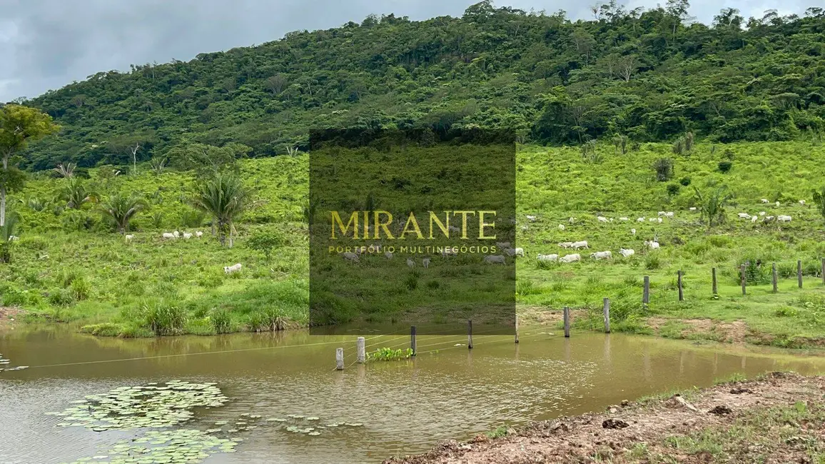 Foto 8 de Fazenda / Haras à venda, 741m2 em Centro, Alenquer - PA