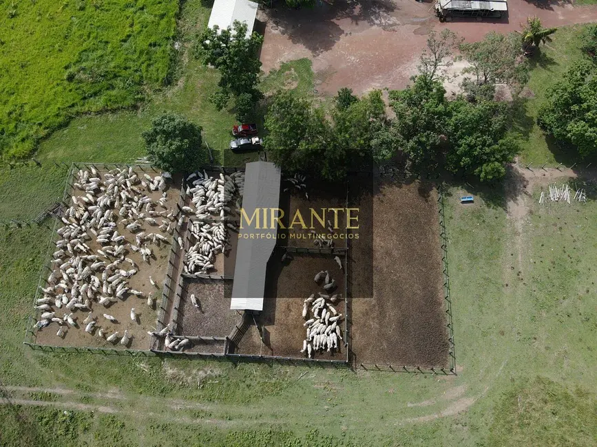 Foto 1 de Fazenda / Haras à venda, 741m2 em Centro, Alenquer - PA