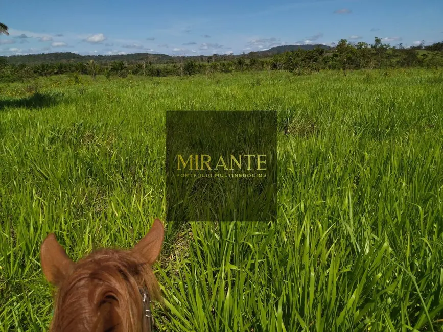 Foto 6 de Fazenda / Haras à venda, 741m2 em Centro, Alenquer - PA