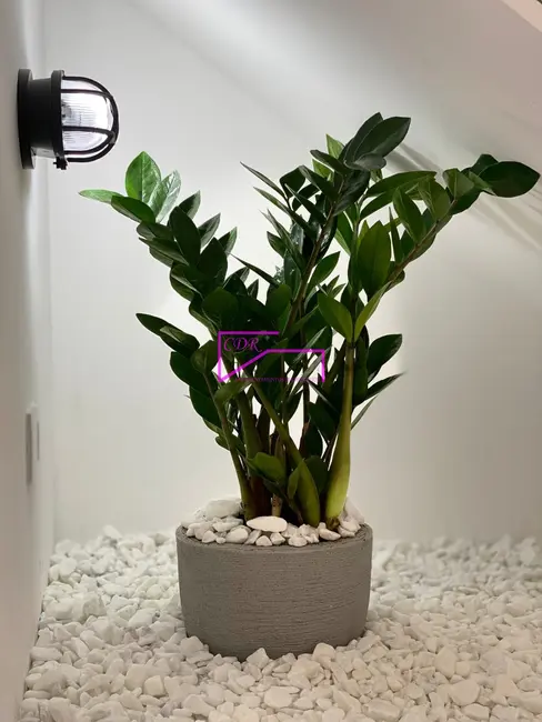 Sobrado com 3 quartos à venda, 120m2 em Jardim Popular, São Paulo - SP - imagem 6 Foto 6 de Sobrado com 3 quartos à venda, 120m2 em Jardim Popular, São Paulo - SP