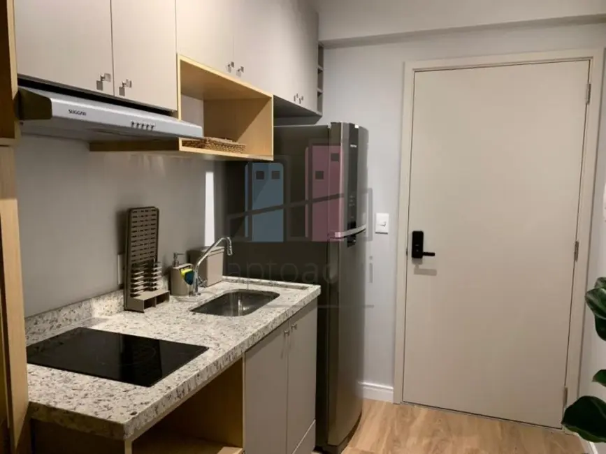 Foto 11 de Apartamento com 1 quarto para alugar, 22m2 em Jardim das Acácias, São Paulo - SP