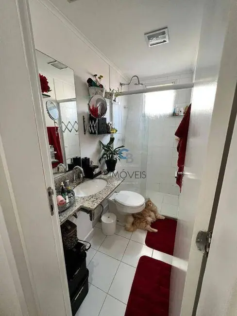 Foto 9 de Apartamento com 3 quartos à venda, 90m2 em Vila Graciosa, São Paulo - SP