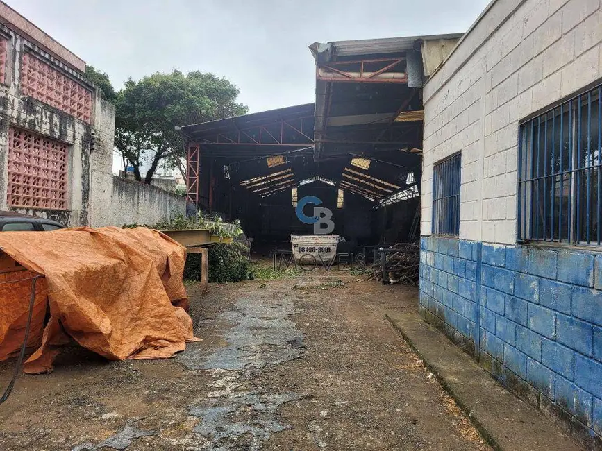 Foto 7 de Terreno / Lote à venda, 800m2 em Vila Moreira, São Paulo - SP