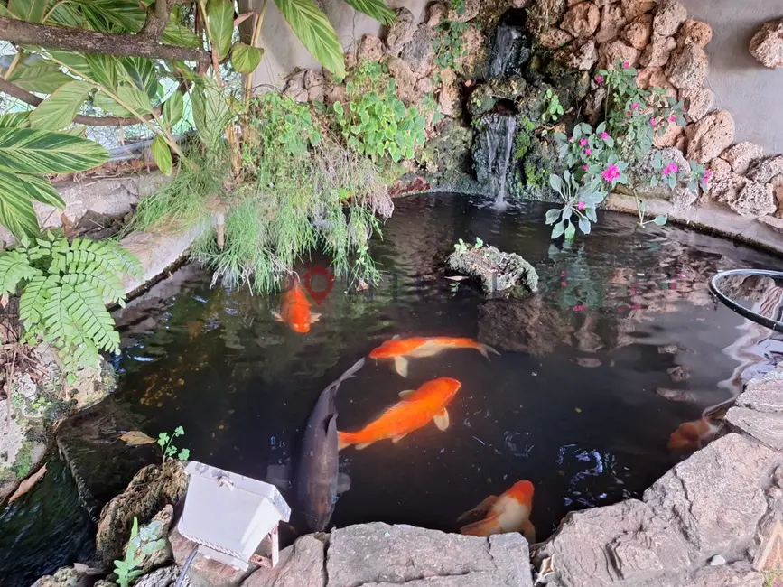 Foto 6 de Chácara com 3 quartos à venda, 440m2 em Parque Serra Dourada, Marilia - SP