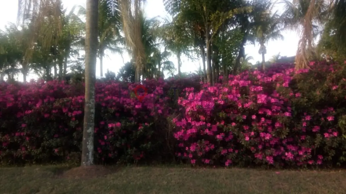 Foto 6 de Chácara com 4 quartos à venda, 600m2 em Marilia - SP