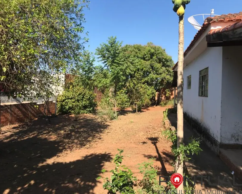 Foto 4 de Sala Comercial com 3 quartos à venda, 140m2 em Centro, Oscar Bressane - SP