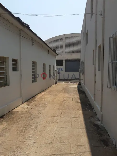 Foto 9 de Casa com 6 quartos à venda, 1140m2 em Alto Cafezal, Marilia - SP