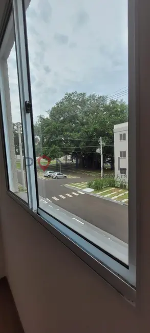 Foto 7 de Apartamento com 2 quartos à venda e para alugar, 49m2 em Vila Maria, Marilia - SP