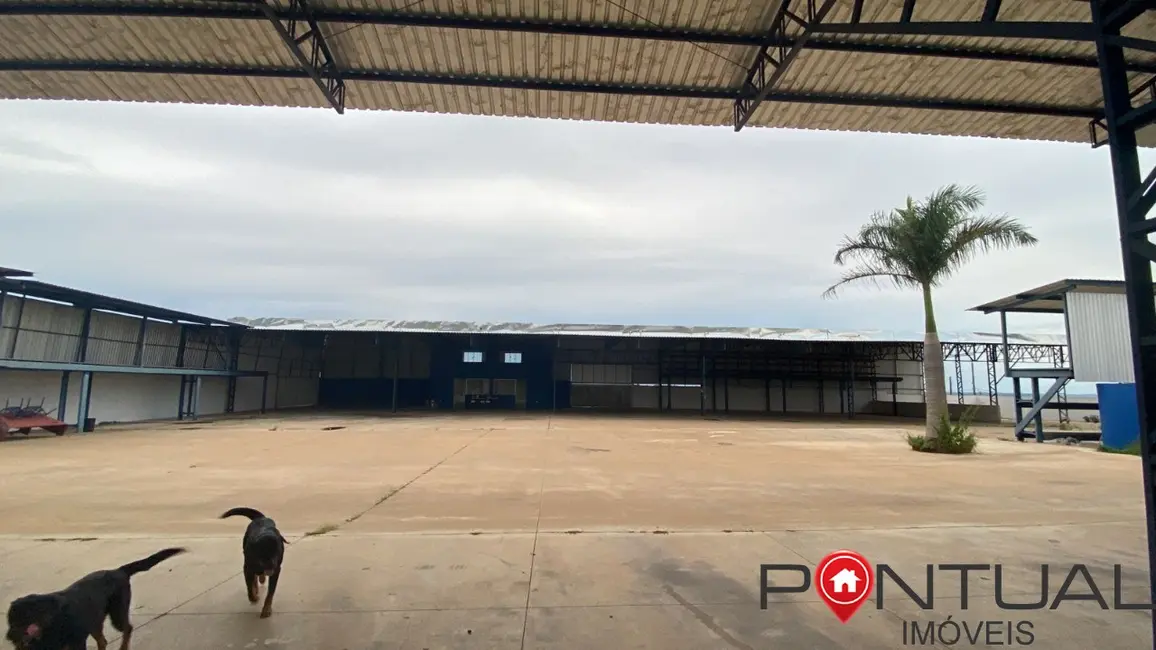 Foto 4 de Armazém / Galpão à venda e para alugar, 4000m2 em Marilia - SP