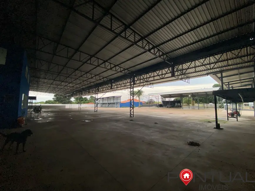 Foto 2 de Armazém / Galpão à venda e para alugar, 4000m2 em Marilia - SP