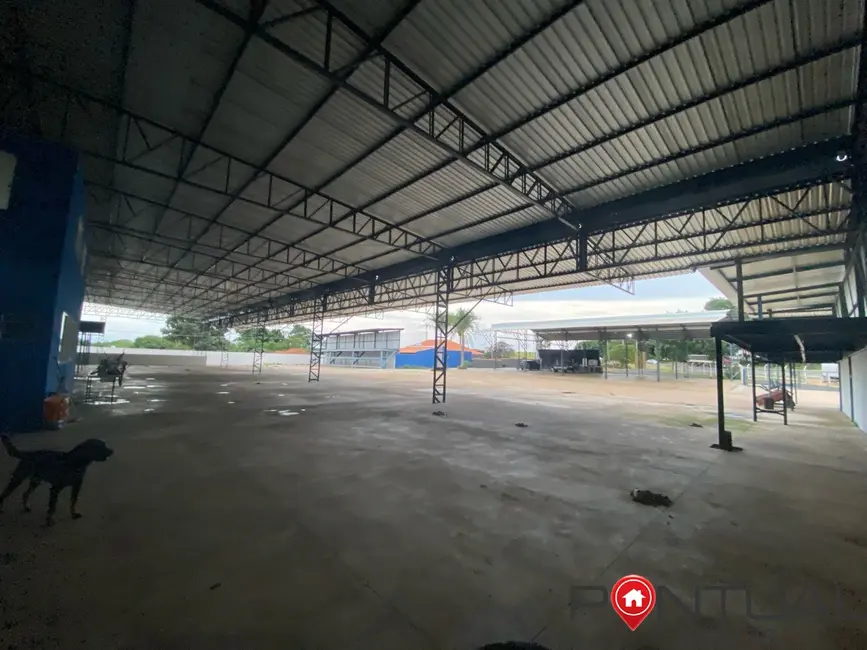 Foto 9 de Armazém / Galpão à venda e para alugar, 4000m2 em Marilia - SP
