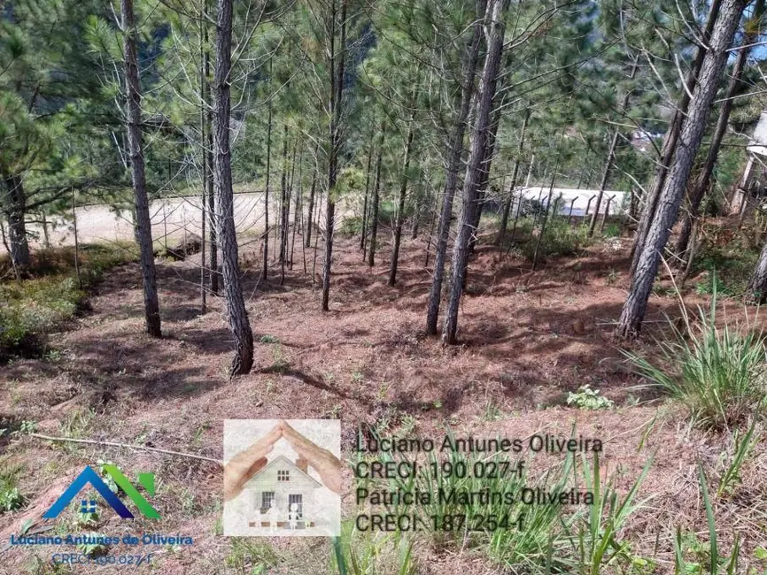 Foto 3 de Terreno / Lote à venda, 455m2 em Portal da Fazendinha, Caraguatatuba - SP