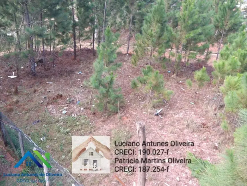 Foto 6 de Terreno / Lote à venda, 455m2 em Portal da Fazendinha, Caraguatatuba - SP