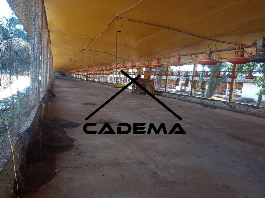 Foto 4 de Sítio / Rancho com 8 quartos à venda, 30070m2 em Monte Siao - MG