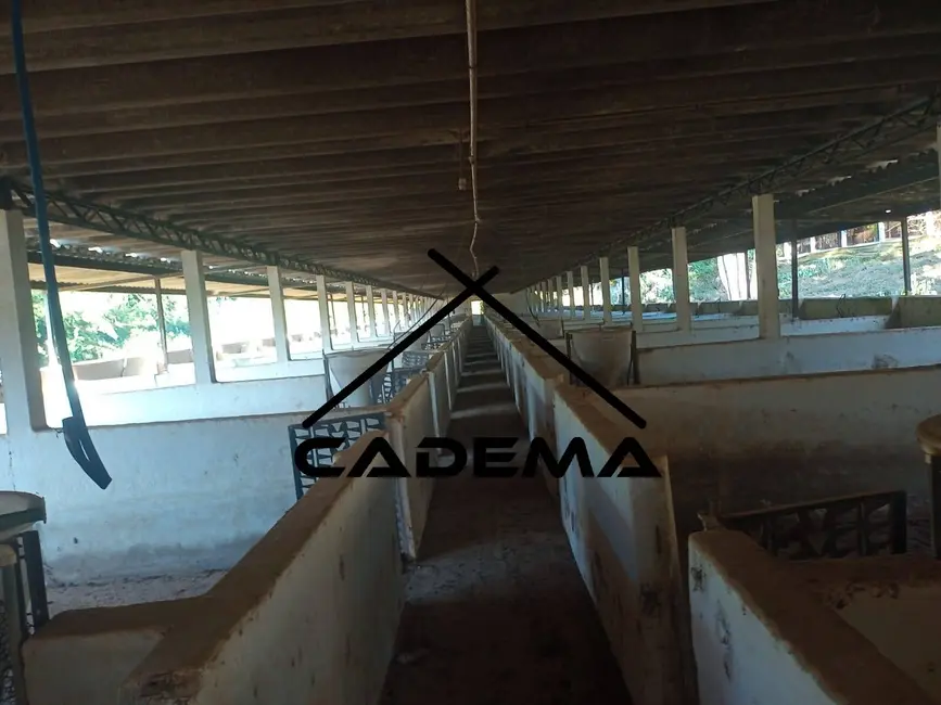 Foto 6 de Sítio / Rancho com 8 quartos à venda, 30070m2 em Monte Siao - MG