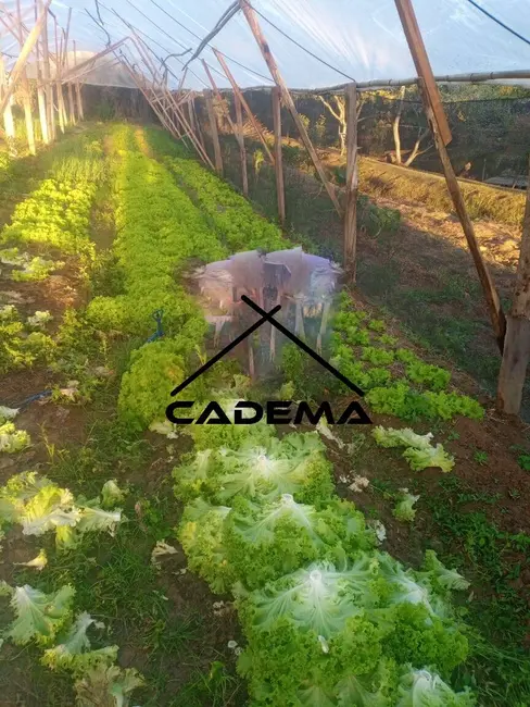 Foto 5 de Sítio / Rancho com 5 quartos à venda, 25000m2 em Jacutinga - MG