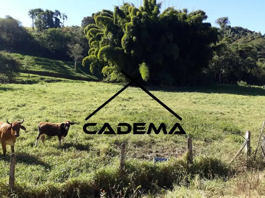 Foto 2 de Sítio / Rancho com 2 quartos à venda, 24200m2 em Ouro Fino - MG