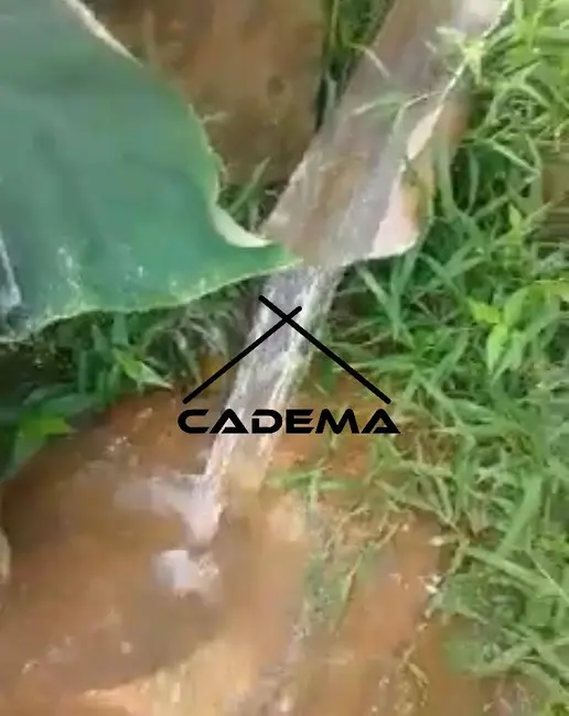 Foto 3 de Chácara com 5 quartos à venda, 3000m2 em Congonhal - MG