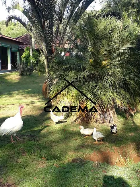 Sítio / Rancho com 3 quartos à venda em Borda Da Mata - MG - imagem 7 Foto 7 de Sítio / Rancho com 3 quartos à venda em Borda Da Mata - MG