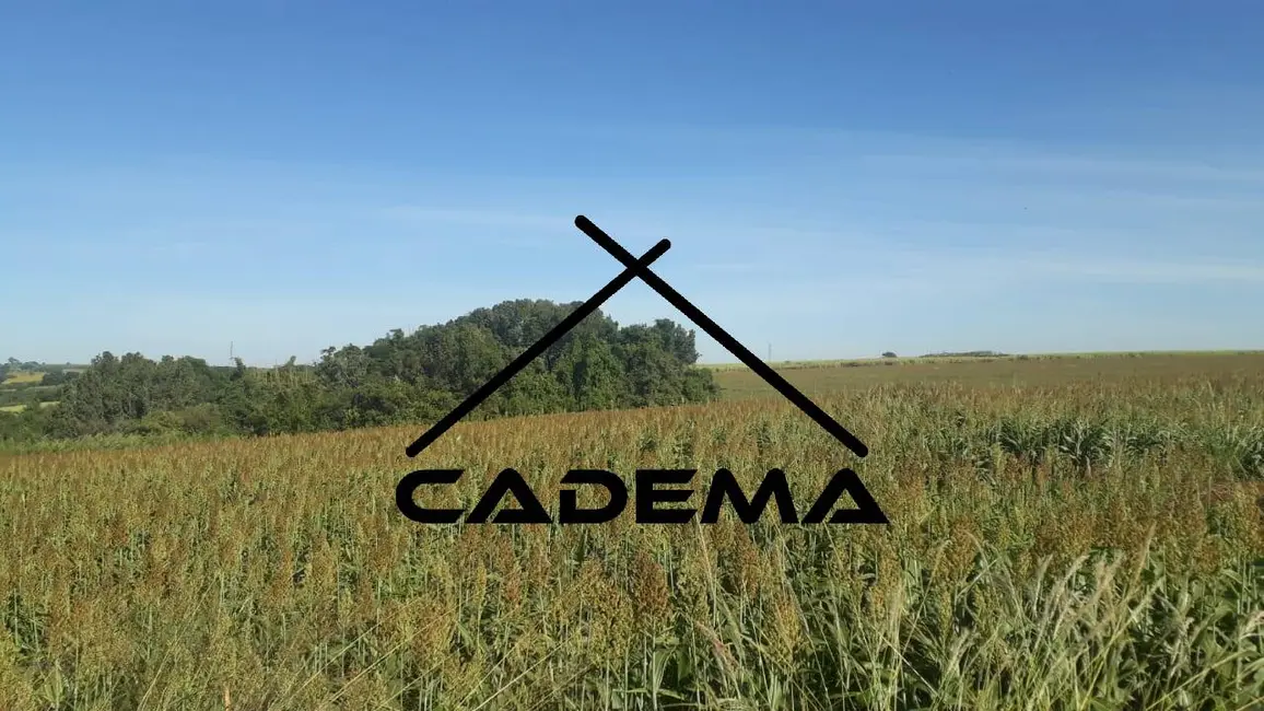 Foto 4 de Chácara à venda, 13m2 em Mogi Mirim - SP