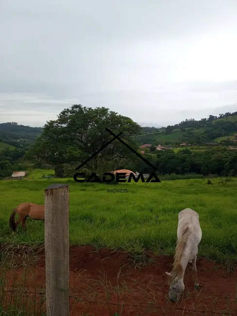 Foto 7 de Sítio / Rancho à venda, 31000m2 em Socorro - SP