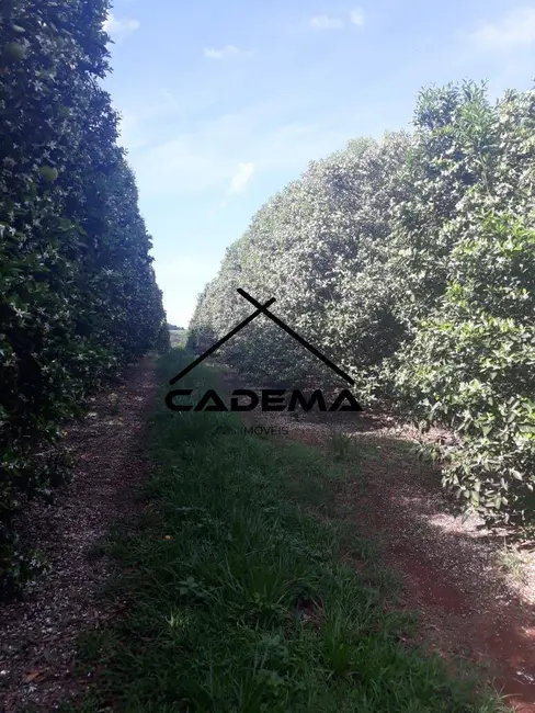 Foto 6 de Fazenda / Haras com 5 quartos à venda, 300m2 em Lins - SP