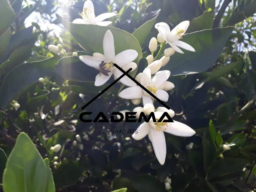 Foto 5 de Fazenda / Haras com 5 quartos à venda, 300m2 em Lins - SP