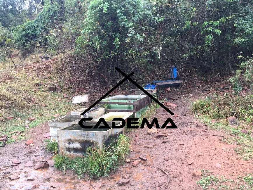 Foto 3 de Sítio / Rancho com 3 quartos à venda, 23m2 em Sao Carlos - SP