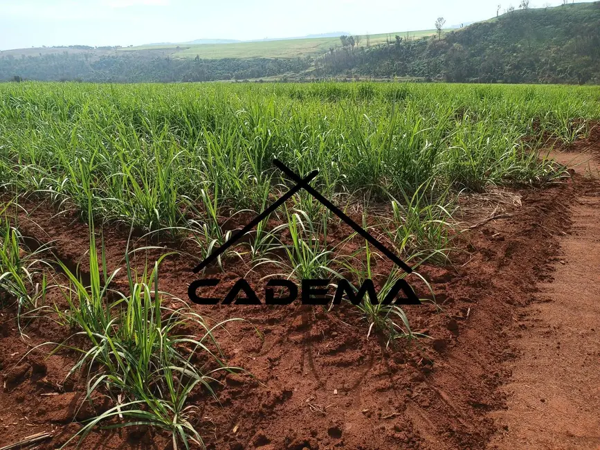 Foto 4 de Sítio / Rancho à venda, 14m2 em Sao Simao - SP