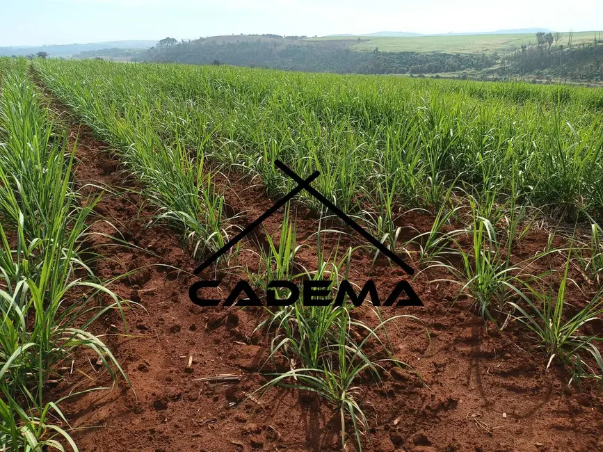 Foto 6 de Sítio / Rancho à venda, 14m2 em Sao Simao - SP