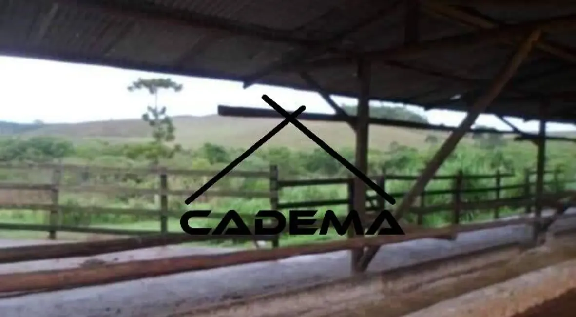 Foto 5 de Fazenda / Haras com 3 quartos à venda, 171m2 em Antonio Carlos - MG