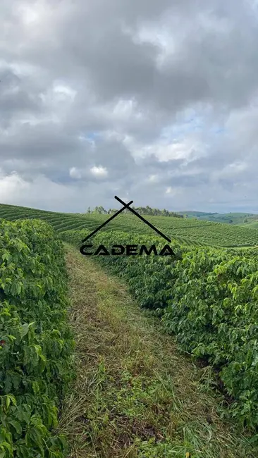 Foto 9 de Fazenda / Haras com 3 quartos à venda, 168m2 em Guaxupe - MG