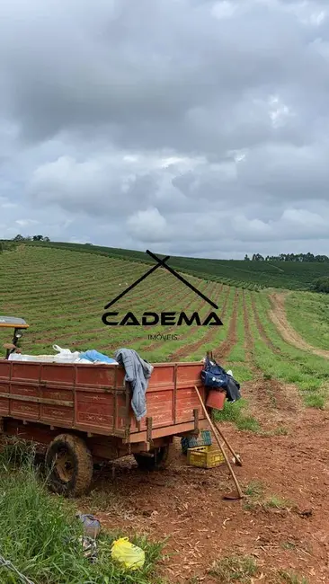 Foto 7 de Fazenda / Haras com 3 quartos à venda, 168m2 em Guaxupe - MG