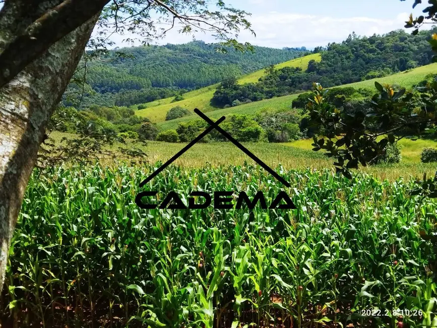 Foto 4 de Fazenda / Haras com 5 quartos à venda, 60m2 em Monte Siao - MG