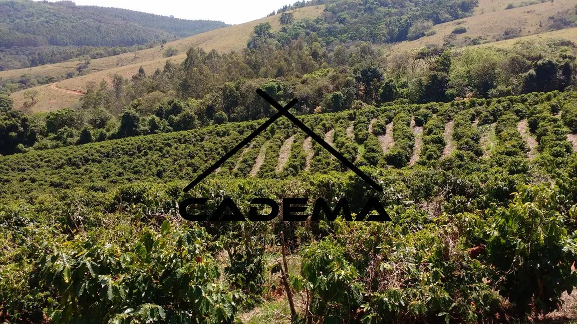 Foto 6 de Fazenda / Haras com 5 quartos à venda, 60m2 em Monte Siao - MG