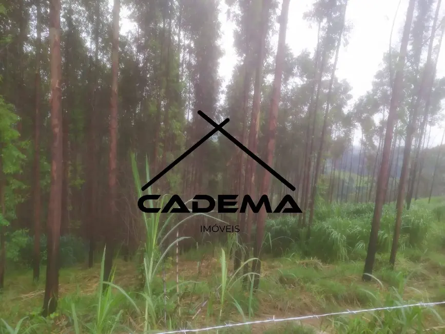 Foto 8 de Sítio / Rancho à venda em Jacutinga - MG