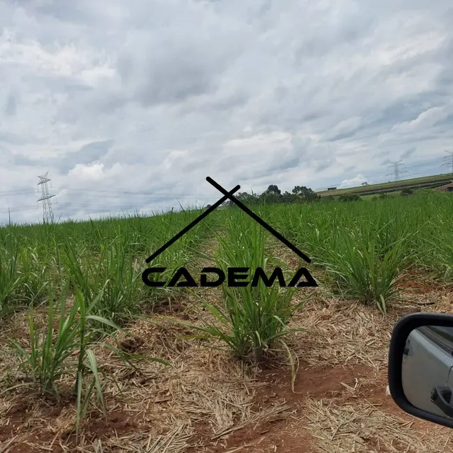 Foto 1 de Sítio / Rancho com 7 quartos à venda, 35m2 em Mogi Guacu - SP