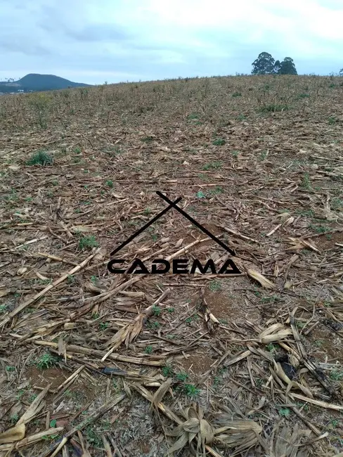 Foto 4 de Sítio / Rancho à venda, 15m2 em Jacutinga - MG