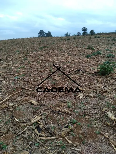 Foto 1 de Sítio / Rancho à venda, 15m2 em Jacutinga - MG